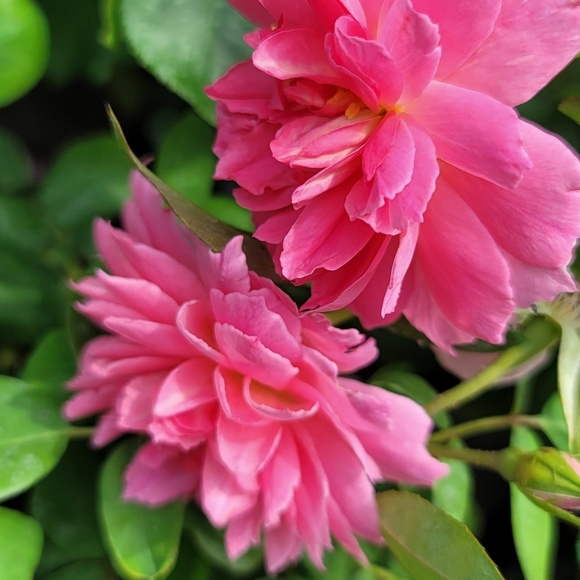 Welcome to the Closet! - Picture 9 of 16